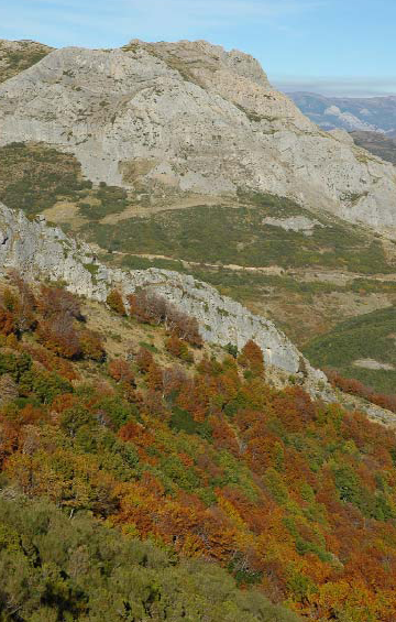 consevacion_explotacon_0