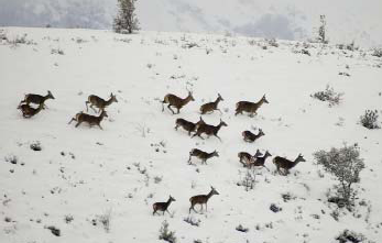 Conservacion 1 Conservacion 1