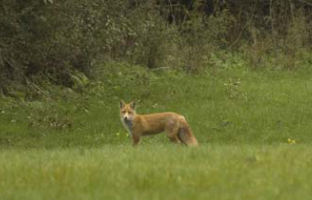 Conservacion 3 Conservacion 3