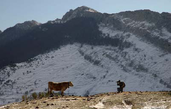 Cordillera Cantabrica 2