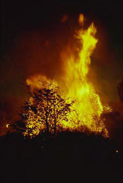 incendios_0
