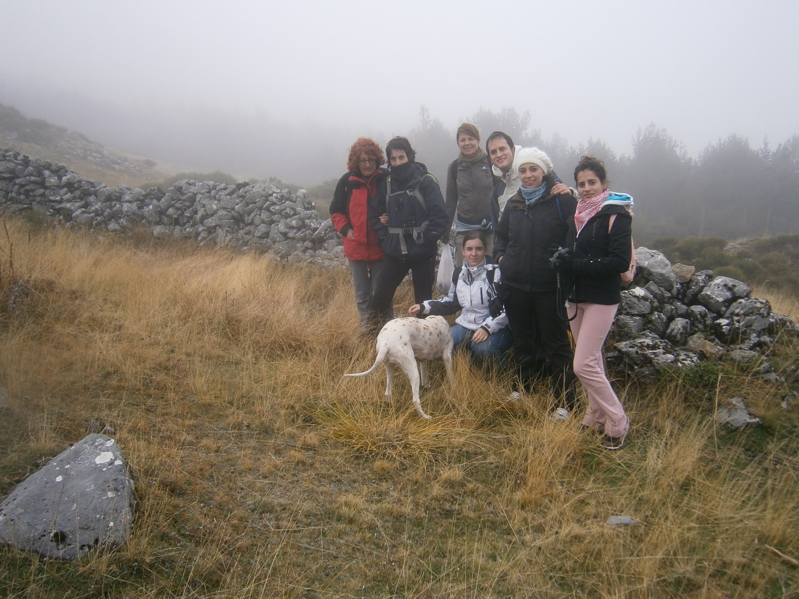 grupo ruta valsurbio