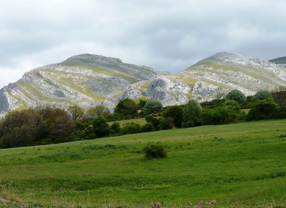 Montaña Palentina Sostenible