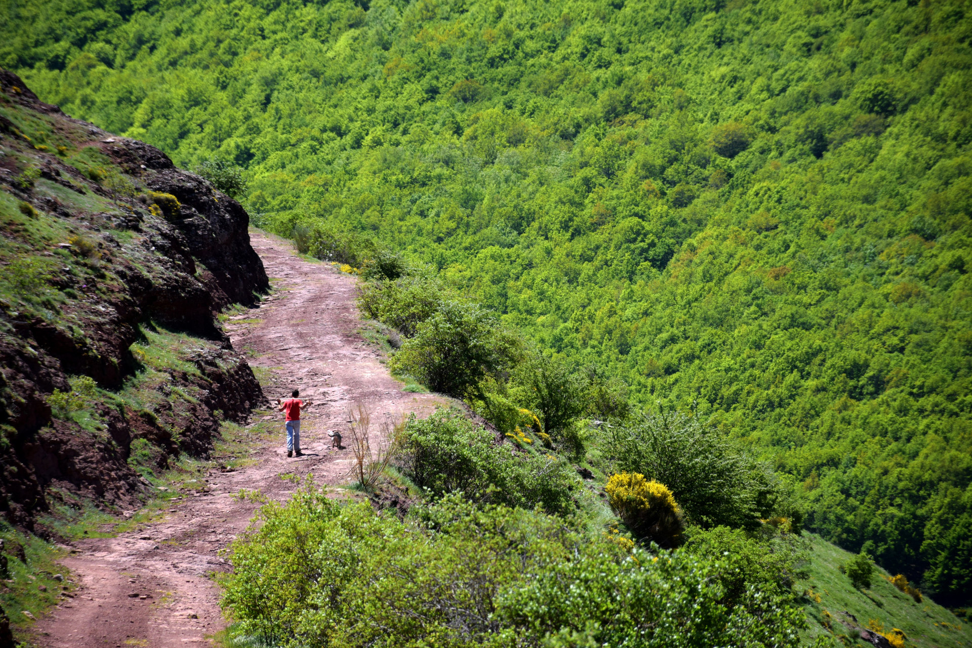 agrupacion comarcal de desarrollo mp portada