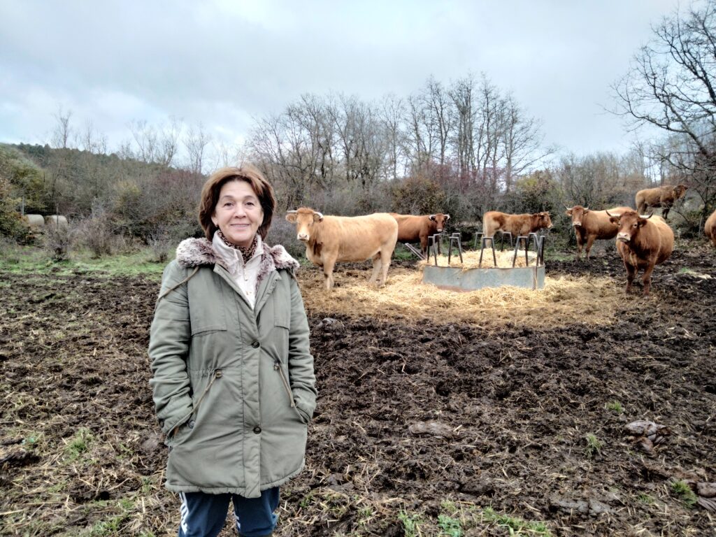 Ganadería en Villanueva de Henares
