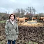 Ganadería en Villanueva de Henares