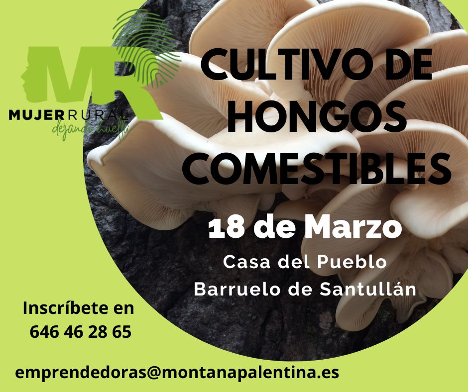 Jornada formativa Cultivo de hongos comestibles